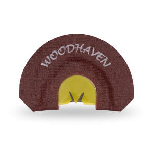 Scott Ellis New Energy