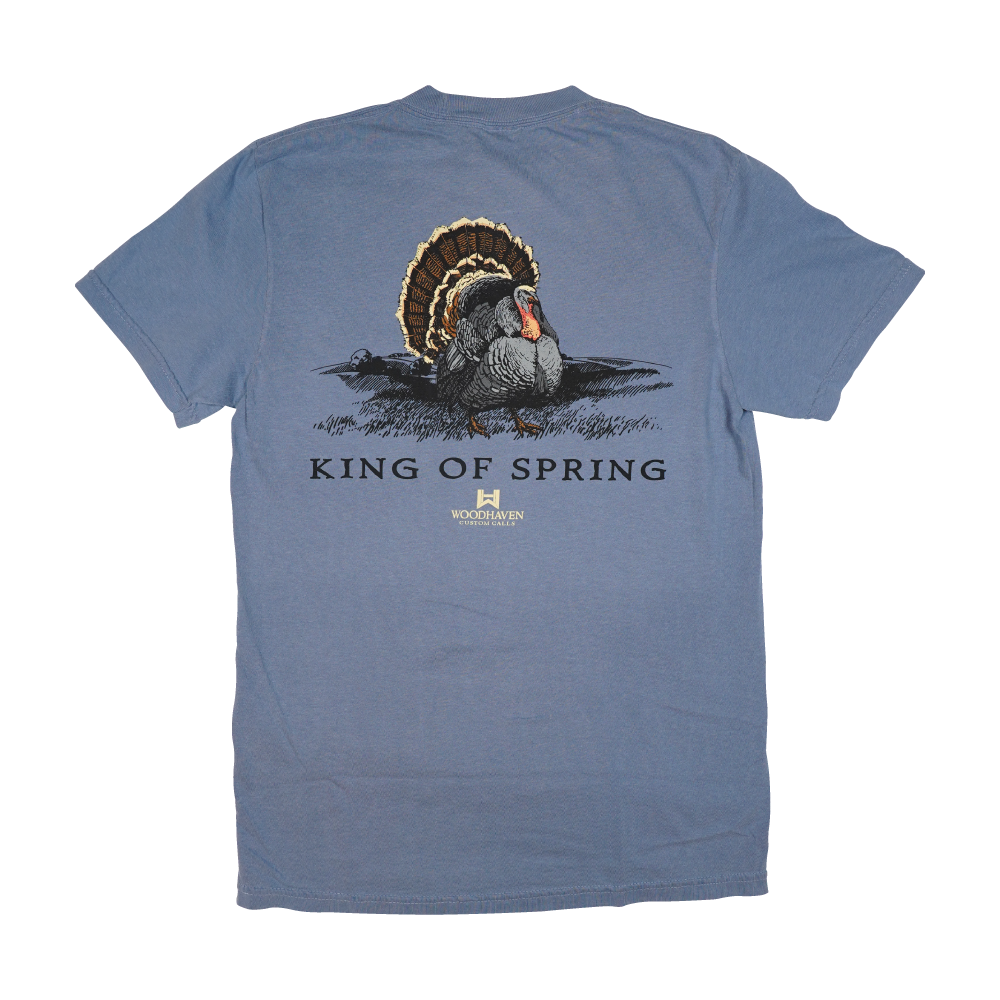 King-of-Spring